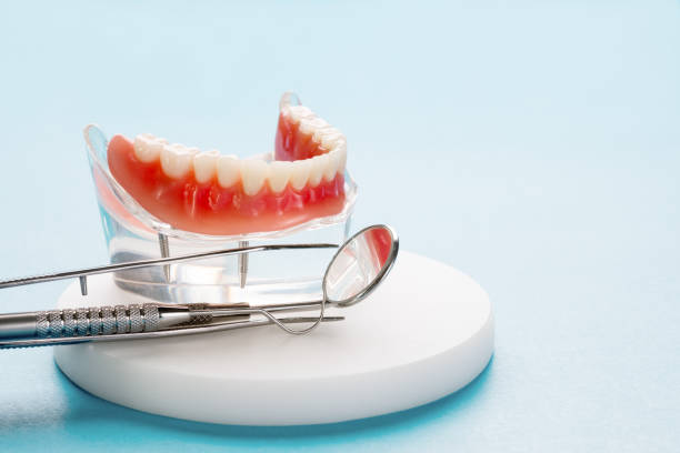 Why Choose Us for Your Dental Needs in Southworth, WA